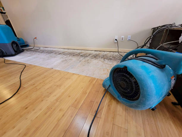 Professional Flood Damage Cleanup technician working in Rose, OK